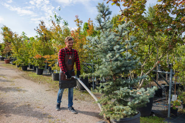 West Bishop, CA  Tree Services Company